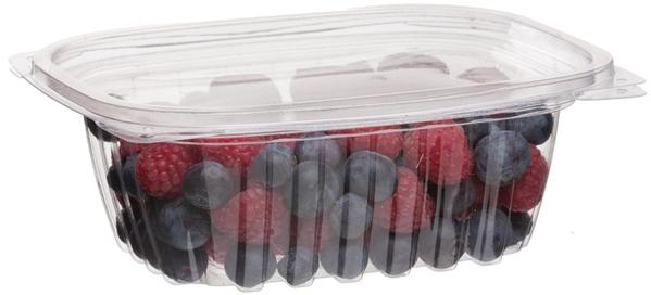 http://foodloops.net/cdn/shop/products/12_oz._Rectangular_Deli_Container_with_Lid_Compostable.jpg?v=1599082852