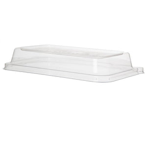 24 - 32oz Lid Rectangle Sugarcane Take-Out Containers WorldView